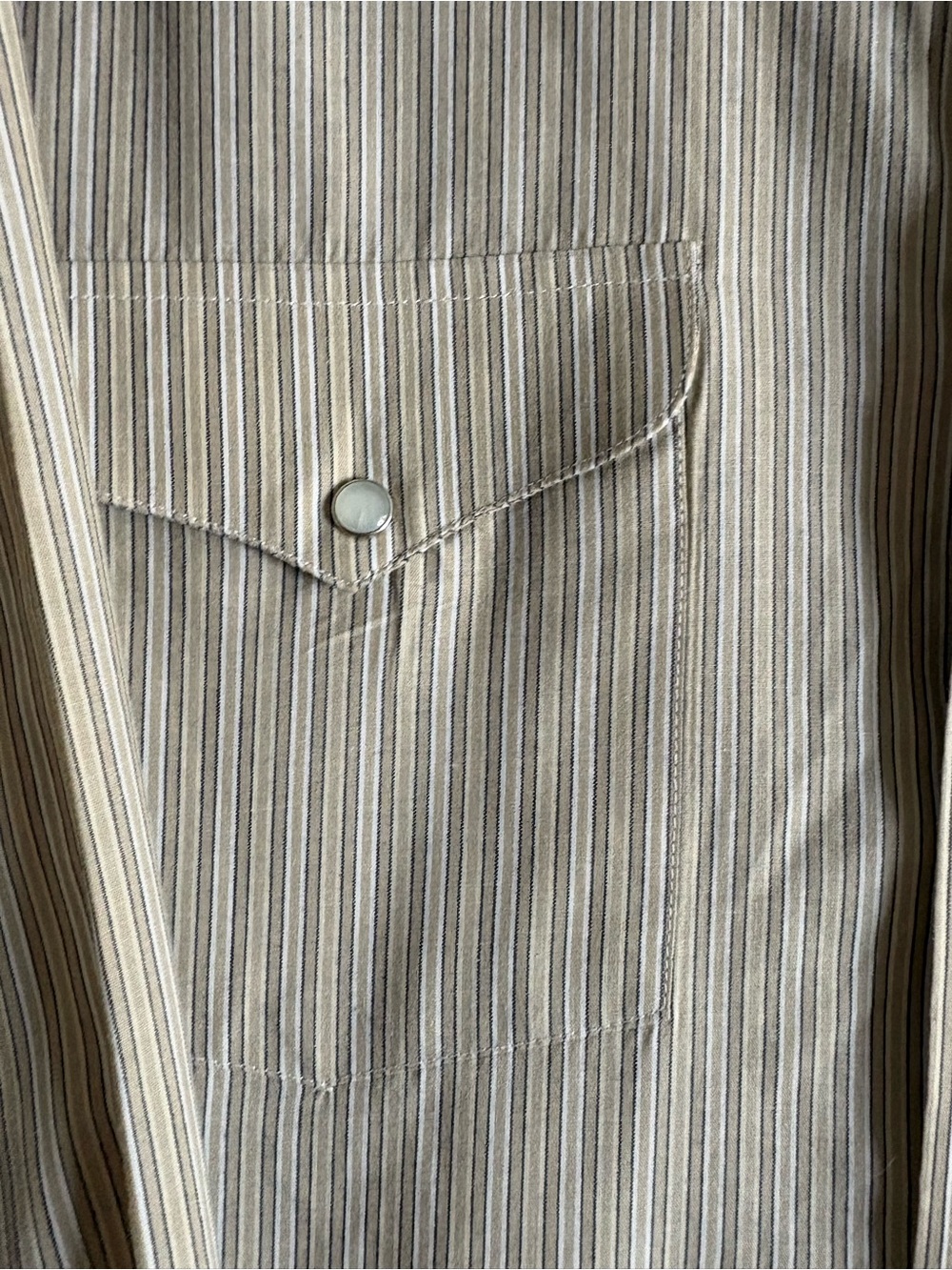 Panhandle Slim Beige Striped Western Button-Up Shirt - Picture 6 of 16